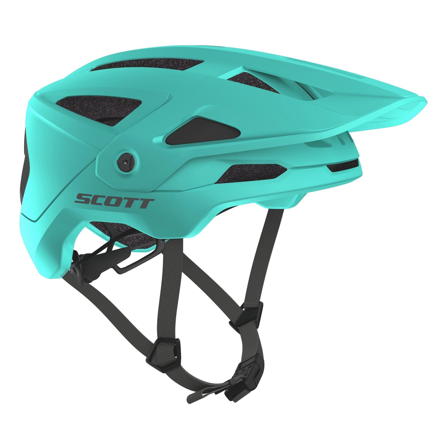 Scott Stego Plus