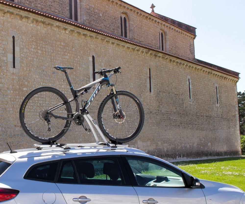 Suporte Bicicletas Hast Fixaçao Quadro prata