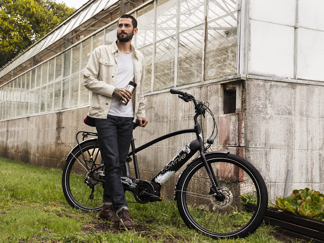 Bicicleta Electra Townie Path Go 10D EQ Step-Over
