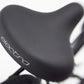 Bicicleta Electra Townie Path Go 10D EQ Step-Over