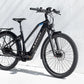 Trek Allant+ 9 Stagger